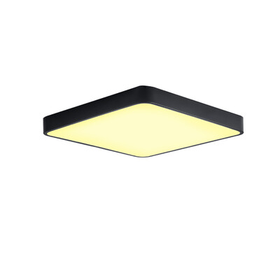 

JX231H - 18W - WW Warm White Ceiling Light AC 220V