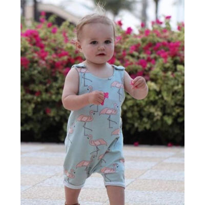 

Infant Baby Boy Girl Flamingo Romper Outfits One Piece Jumpsuit Playsuit Summer