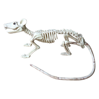 

UpperX Nice Skeleton Rat PPPVC Animal Skeleton Bones for Horror Halloween Decorationmouse