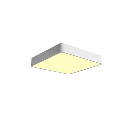 

JX759 - 32W - WJ Promise Dimmable Ceiling Lamp AC 220V
