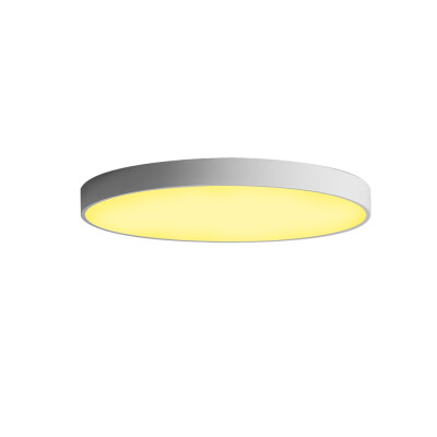 

JX232 - 48W - WW Warm White Ceiling Lamp AC 220V