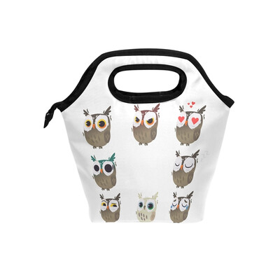 

Lunch Tote Bag Qwl Party Travel Picnic Insulated Lunch Handbags Portable Zipper Lunch Bag Box