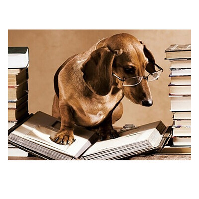 

UpperX Square Diamond 5D DIY Diamond Painting "Knowledge dog" Embroidery Cross Stitch Rhinestone Mosaic Painting Decor