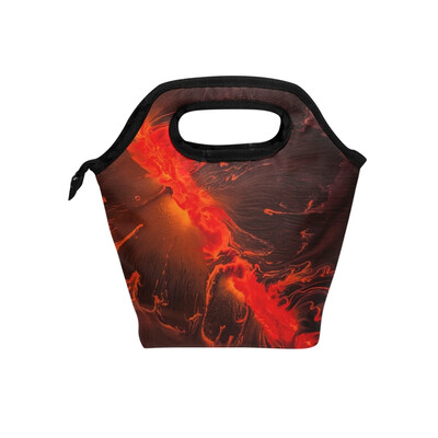 

Insulated Lunch Tote Bag Red Pattern Travel Picnic Lunch Handbags Portable Zipper Lunch Bag Box