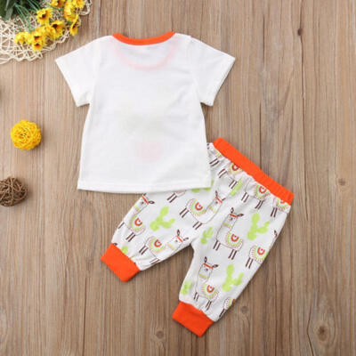 

Newborn Baby Girl Short Sleeve Floral TopsAlpaca Print Pants Cotton Outfits Set