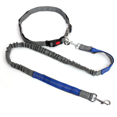 

Hands Free Dog Leash for Running Walking Hiking