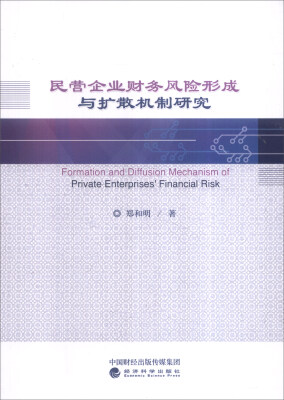 

民营企业财务风险形成与扩散机制研究