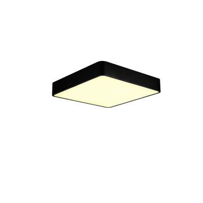 

JX759 - 32W - WJ Promise Dimmable Ceiling Lamp AC 220V