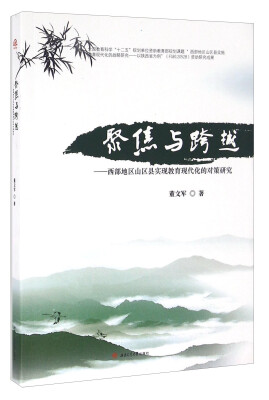 

聚焦与跨越：西部地区山区县实现教育现代化的对策研究