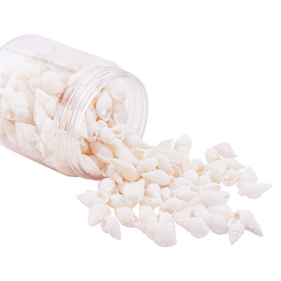 

PH PANDAHALL 150 pcs Dyed Spiral Seashell Shell Beads Charms with Holes for Jewellery Making