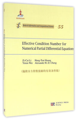 

偏微分方程数值解的有效条件数（英文版）