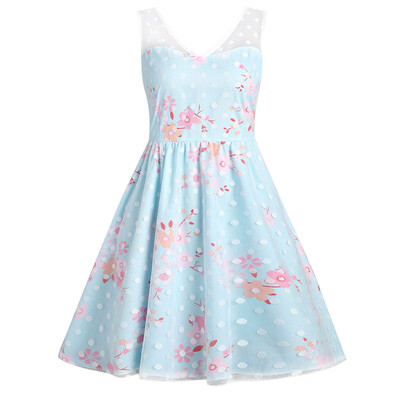 

Mesh Floral Print Swing Dress