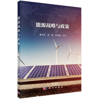 

能源战略与政策