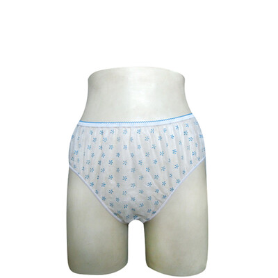 

7 Pcs Ladies Disposable Panties Wrapped Travel Women's Paper Underwear
