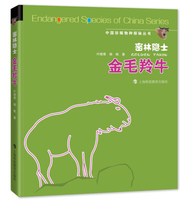

密林隐士——金毛羚牛