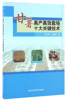 

甘薯高产高效栽培十大关键技术