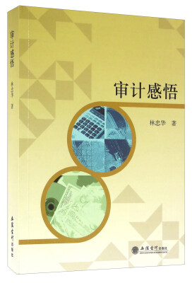 

审计感悟