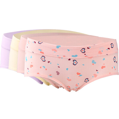 

Hongdou Women's Underwear 4-Pack Mid-rise and High-rise Soft Cotton Panties