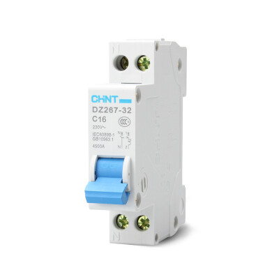 

Zhengtai (CHNT) air switch circuit breaker double line open double into double out 16A DZ267