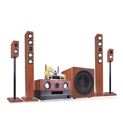 

Двойное обещание SA6309 домашний кинотеатр 5.1 набор звуковой комбинации домашнего усилителя мощности сабвуфер KTV жилая комната ТВ-динамики 5.1 домашний кинотеатр с шестью частями (с 2 беспроводными микрофонами)