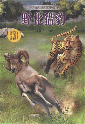 

中国动物小说品藏书系：野化猎豹