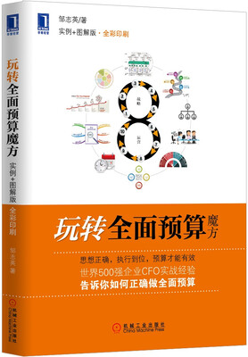 

玩转全面预算魔方（实例+图解版·全彩印刷）