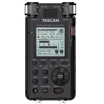 

TASCAM DR-100MKIII PCM 192kHz HI-Res Цифровой рекордер Китайское меню Micro Movie Recorder Китайское меню