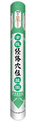 

女性经络穴位挂图筒装高清版