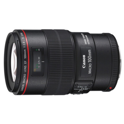 

Canon EF 100mm f28L IS USM Macro Lens