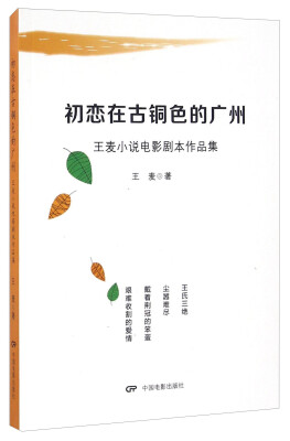 

初恋在古铜色的广州 王麦小说电影剧本作品集
