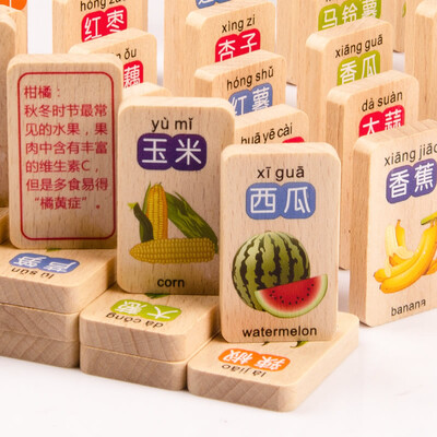 

Mukai baby 100 double-sided beech animal encyclopedia of dominoes children&39s puzzle wooden toy MGY00500