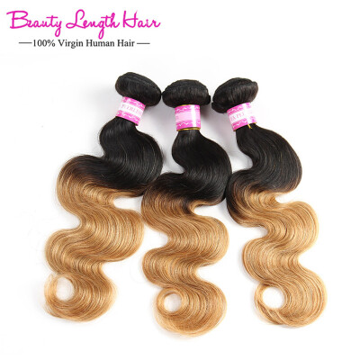 

Ombre Brazilian Virgin Hair Body Wave Human Hair Weave Ombre Hair Extensions 3 Bundles Mink Brazilian Virgin Hair