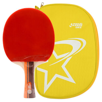 

Double Happiness DHS 2-star table tennis racket double-sided anti-fast attack with the arc beat A2002 single shot (new random hair R2002)