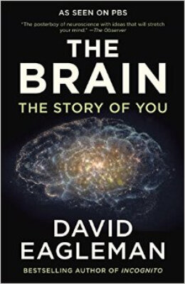 

The Brain The Story of You