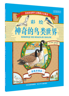 

神奇的鸟类世界 湿地水域卷