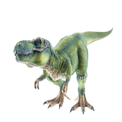 

【Jingdong Supermarket】 Si Le Schleich Dinosaur Toy Dinosaur Model Dinosaur Simulation Animal Model Children Enlightenment Puzzle Cognitive Toys - Rex Tyrannosaurus SCHC14525