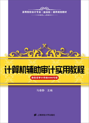 

计算机辅助审计实用教程