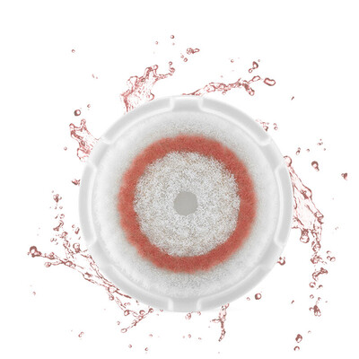 

Clariant (Clarisonic) acoustic electric cleanser facial brush (luxury facial brush)