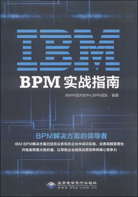 

IBM BPM实战指南