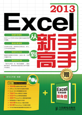 

Excel 2013从新手到高手