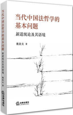 

当代中国法哲学的基本问题：新道统论及其语境