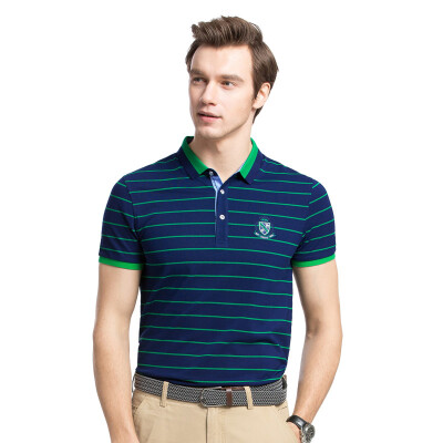 

Camel (CAMEL) men's summer fashion business stripes lapel POLO short sleeve T-shirt X7B201217 green XL