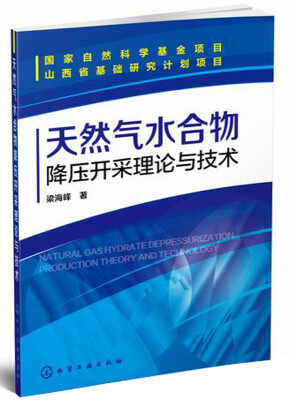 

天然气水合物降压开采理论与技术
