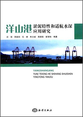 

洋山港淤泥特性和适航水深应用研究