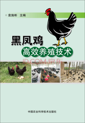 

黑凤鸡高效养殖技术