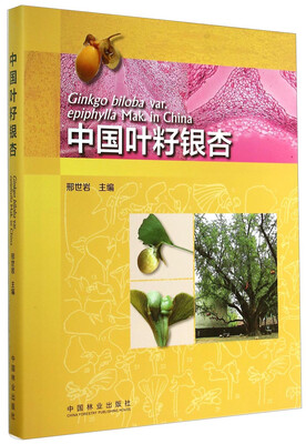 

中国叶籽银杏