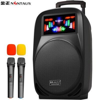 

Kim Jung-NINTAUS N33 12 inch square dance audio portable rod battery speaker outdoor portable Bluetooth card audio black