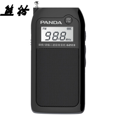 

Panda PANDA 6203 lithium two-band radio small pocket portable card mini stereo old man black