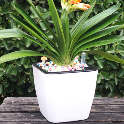 

Open road Chi square large automatic water absorption flower pot lazy flower pot caliber 18cm high 16cm white black inner basin