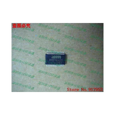 

Free shipping 10PCS WM8196SCDS